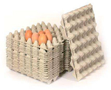 蛋类产品包装纸托 